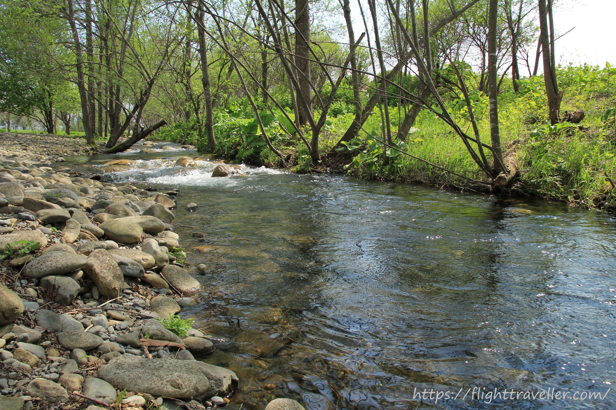 六花の森 大きなやかん なみあし日記 Trip With Flights 六花の森 大きなやかん なみあし日記 Trip With Flights